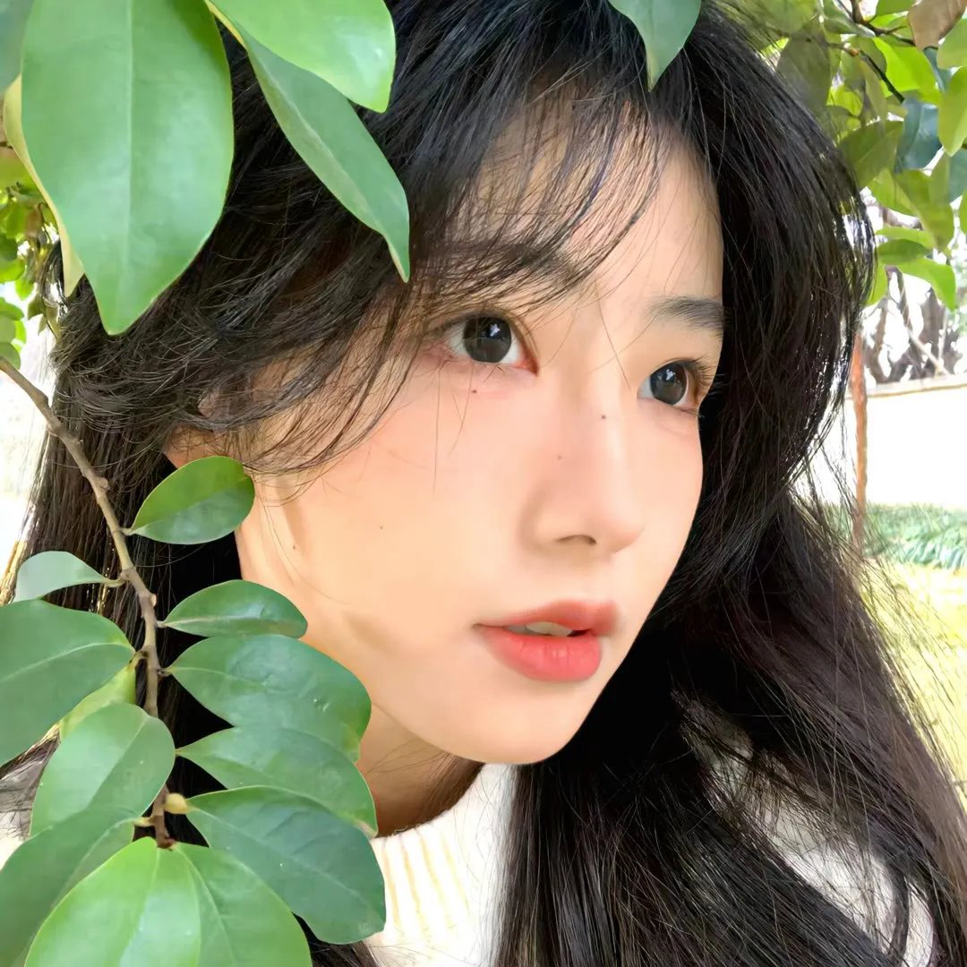 玛德莲堕落少女